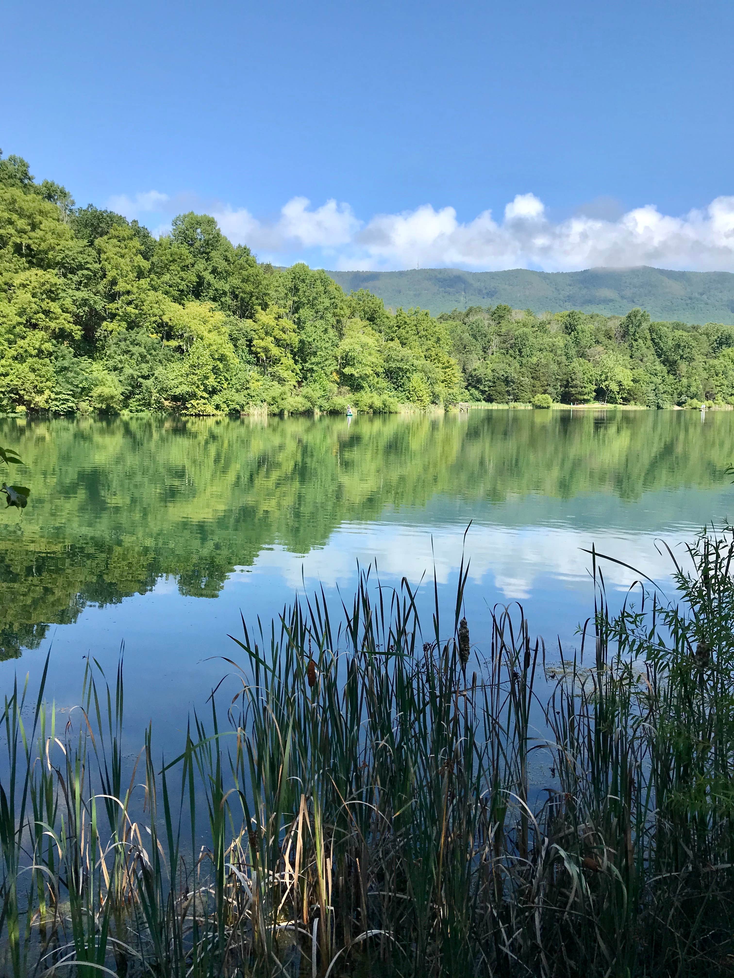 Camper-submitted photo at Lake Robertson near Goshen, VA