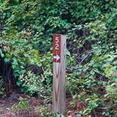 Review photo of Dr. Julian G. Bruce St. George Island State Park Campground by Ronald H., September 15, 2020