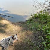 Review photo of Delaware State Park Campground by Andrea F., September 15, 2020