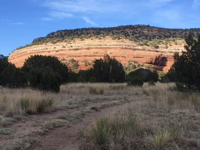 Camper submitted image from Mills Canyon Campground - 2