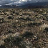 Review photo of Red Rock Canyon National Conservation Area - Red Rock Campground by Brittney  C., September 7, 2020