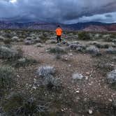 Review photo of Red Rock Canyon National Conservation Area - Red Rock Campground by Brittney  C., September 7, 2020