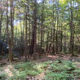 Review photo of White Pines Campsites by Sylvia P., September 15, 2020