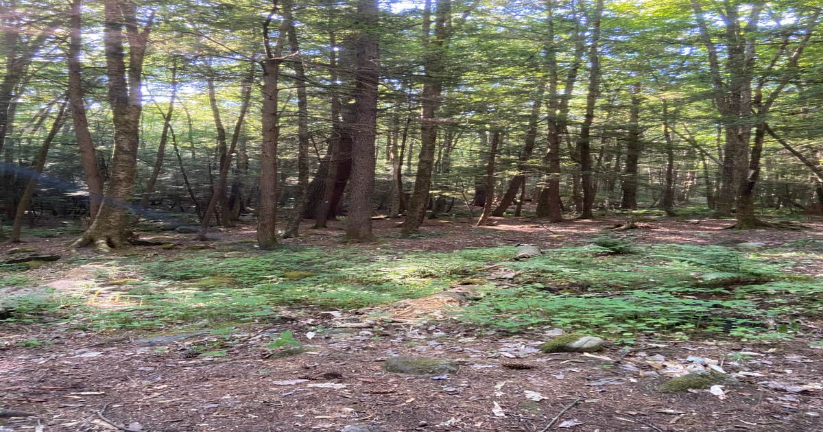 undefined photo 2