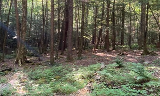 Camping near Granville State Forest: White Pines Campsites, Winsted, Connecticut