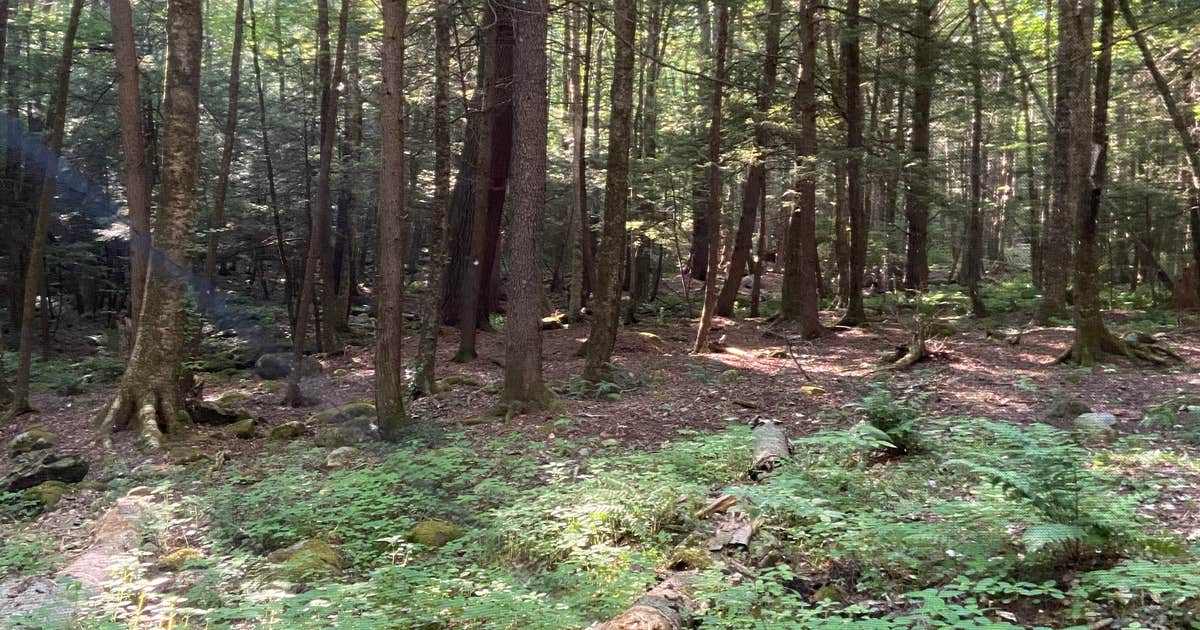 Connecticut photo 4