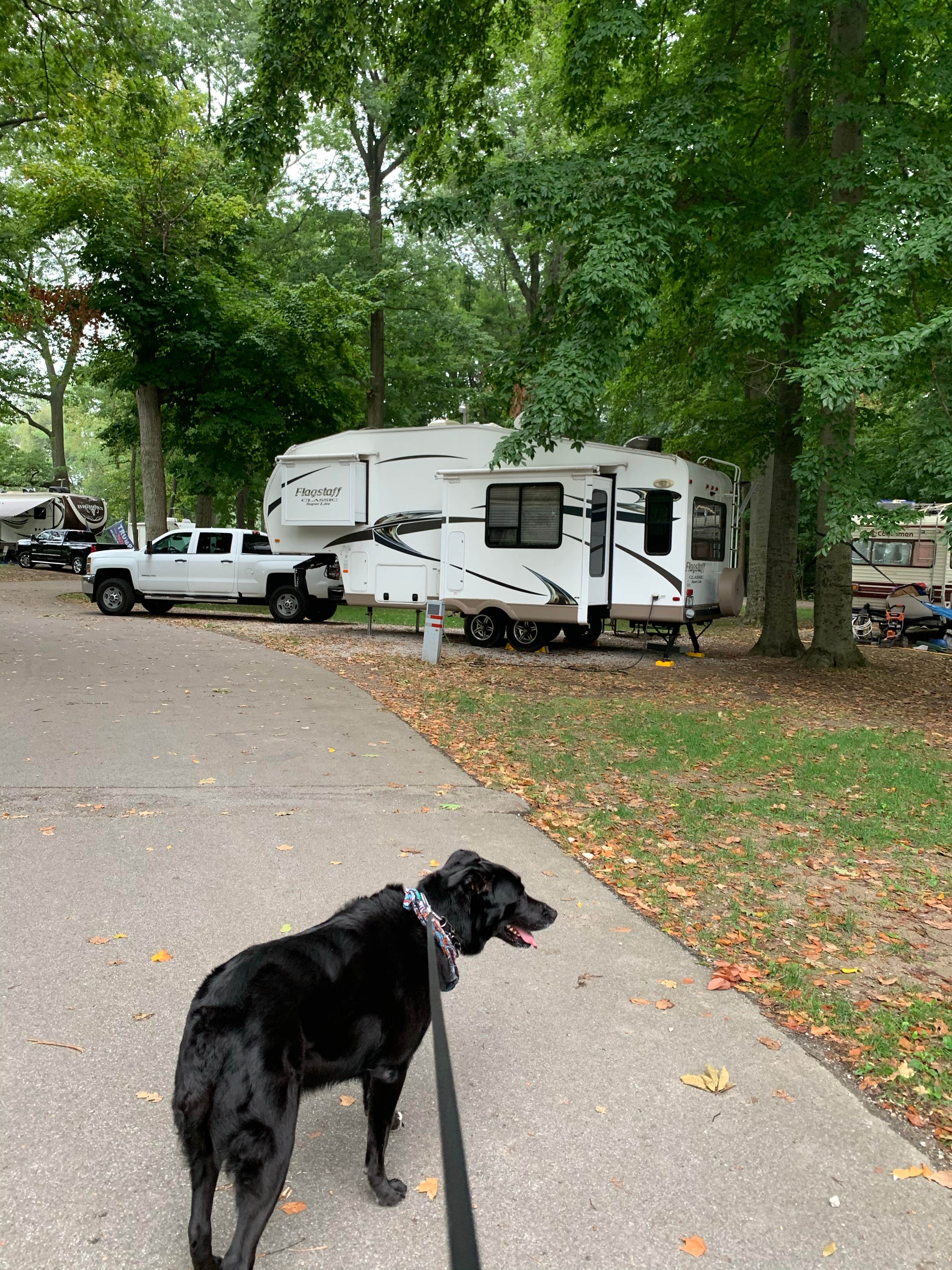 Camper submitted image from Johnny Appleseed Campground - 5