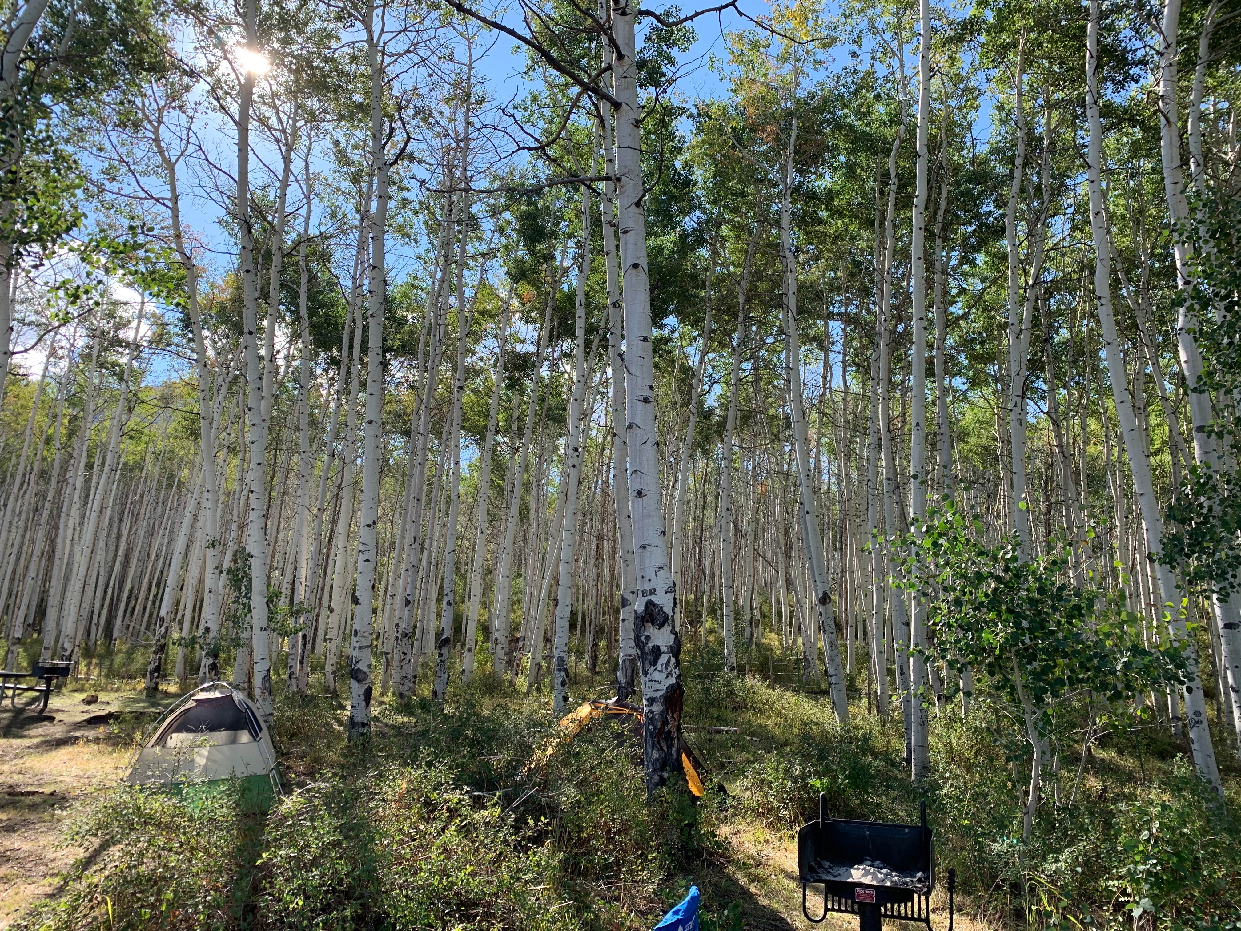Camper-submitted photo at Masons Draw Campground near Castle Valley, UT