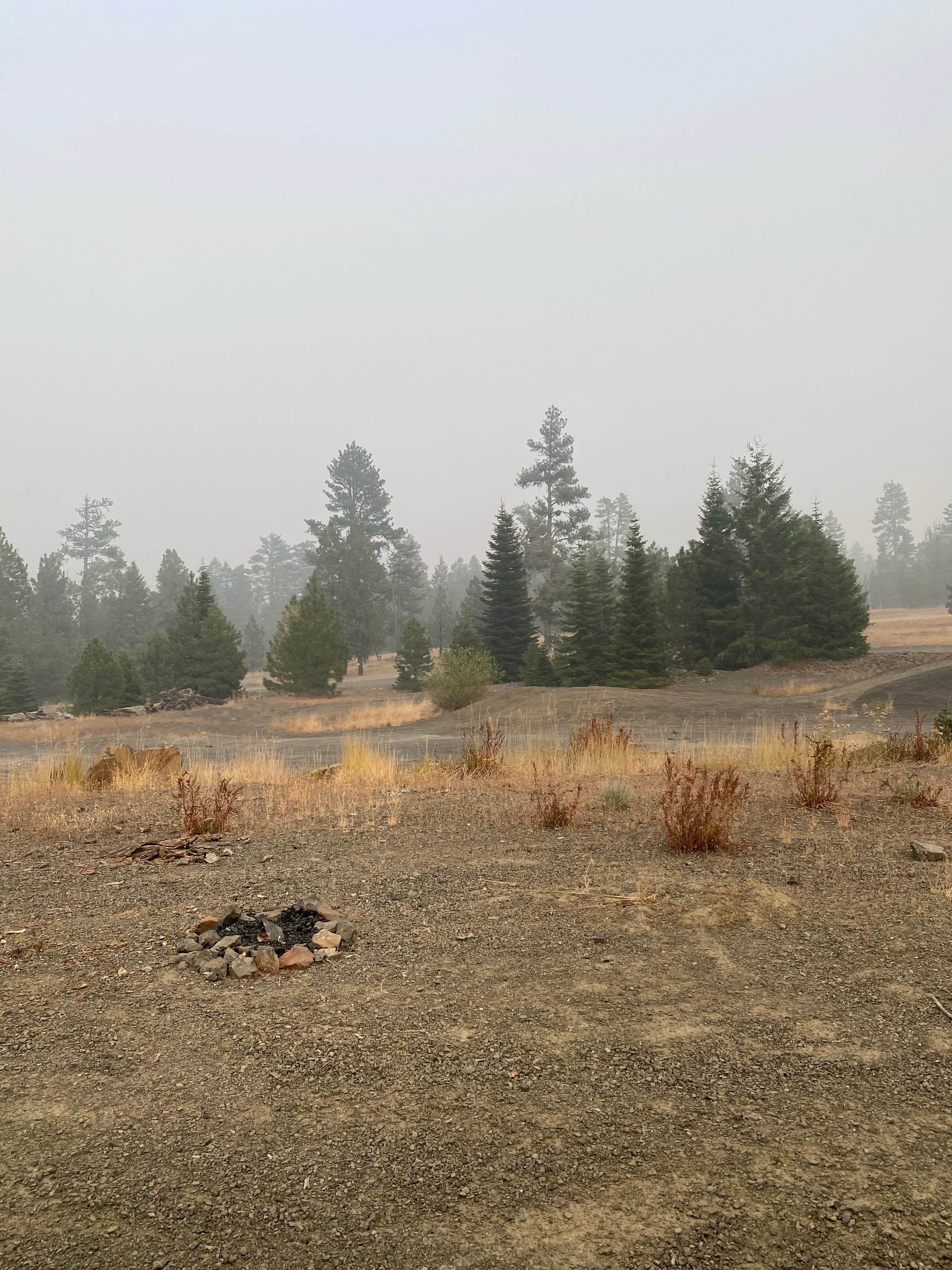 Camper-submitted photo at Walton Sno-Park near Mitchell, OR
