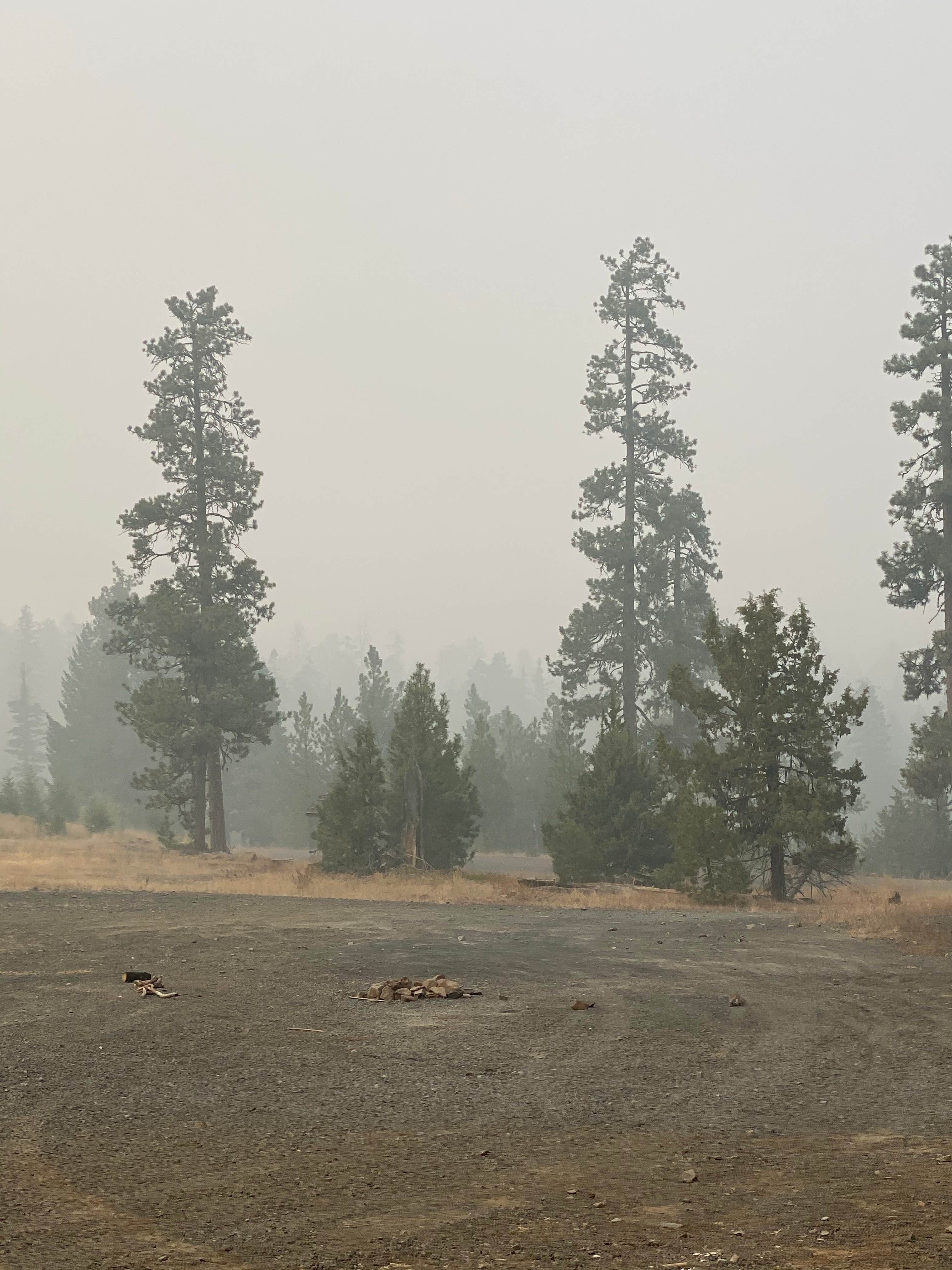 Camper-submitted photo at Walton Sno-Park near Mitchell, OR