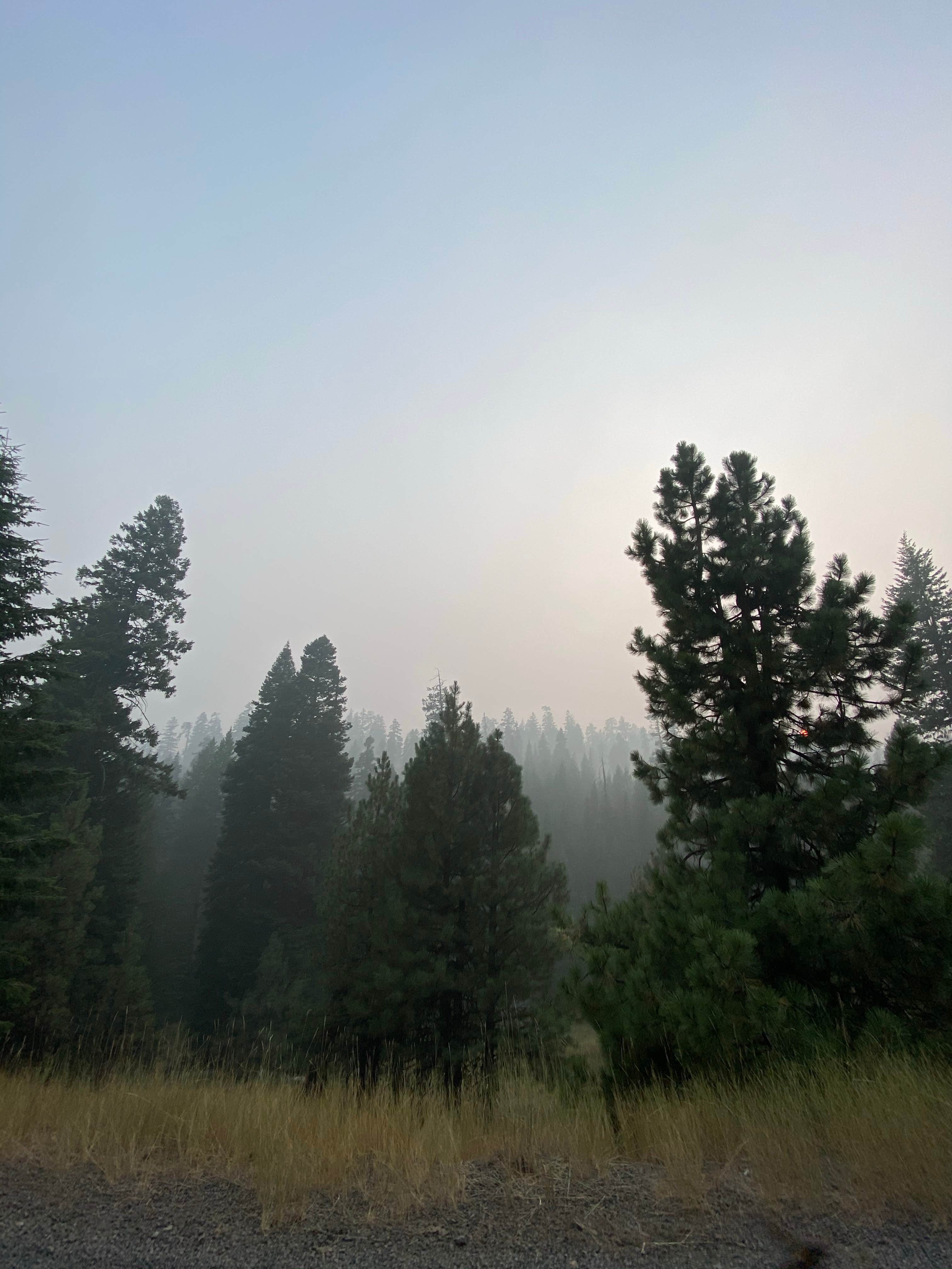 Camper-submitted photo at Walton Sno-Park near Mitchell, OR