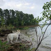 Review photo of COE Lake Ouachita Joplin Campground by Cara T., September 15, 2020