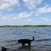 Review photo of COE Lake Ouachita Joplin Campground by Cara T., September 15, 2020