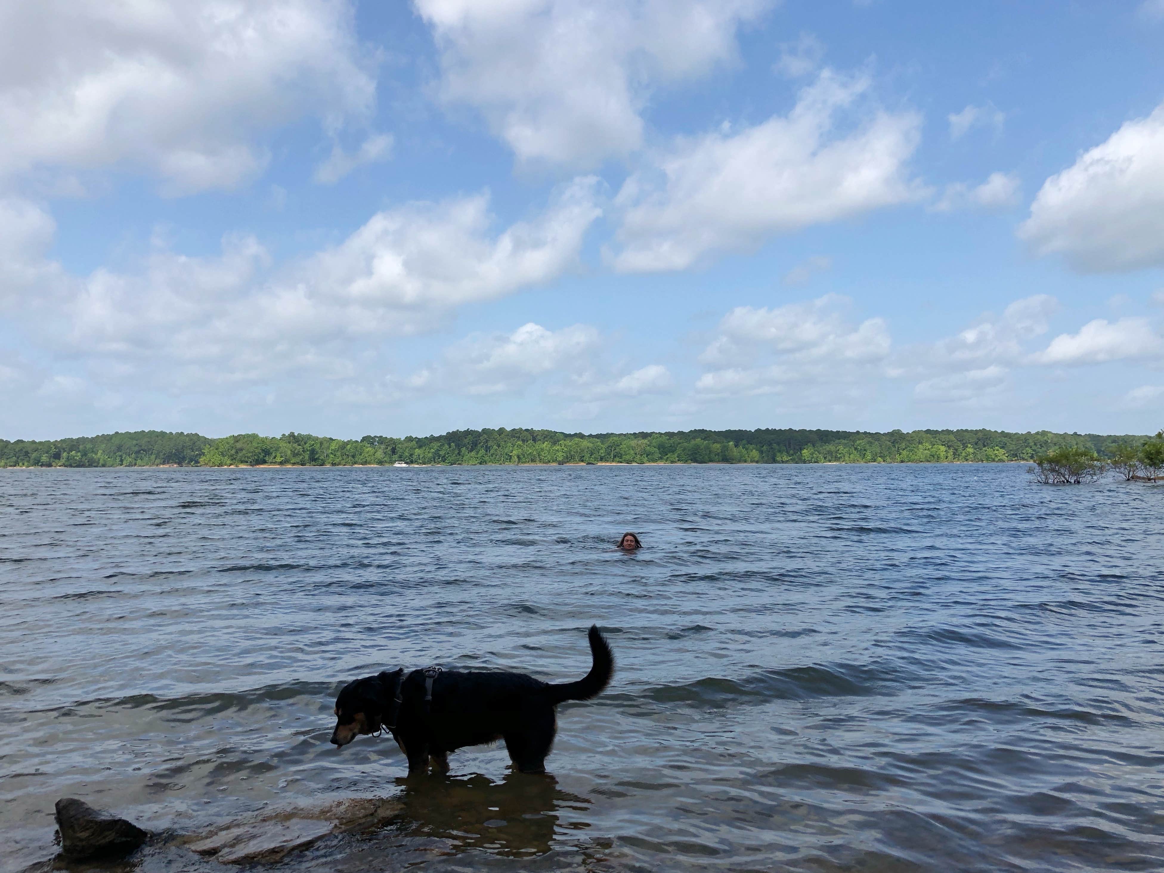 Camper submitted image from COE Lake Ouachita Joplin Campground - 2