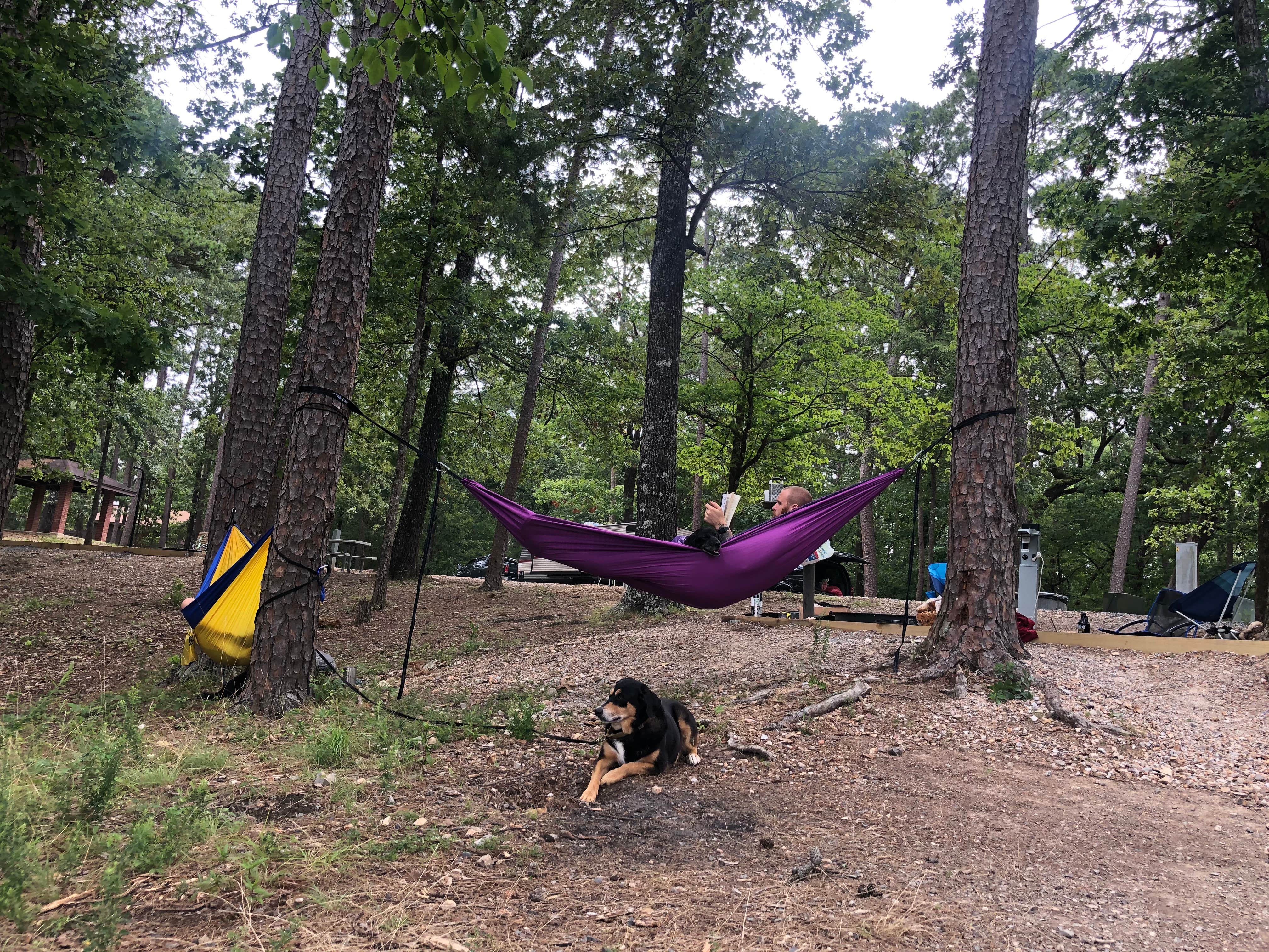 Cara T.'s photo at COE Lake Ouachita Joplin Campground near Oden, AR