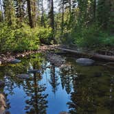 Review photo of Loon Lake by erin O., September 15, 2020