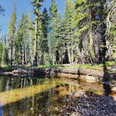 Review photo of Loon Lake by erin O., September 15, 2020