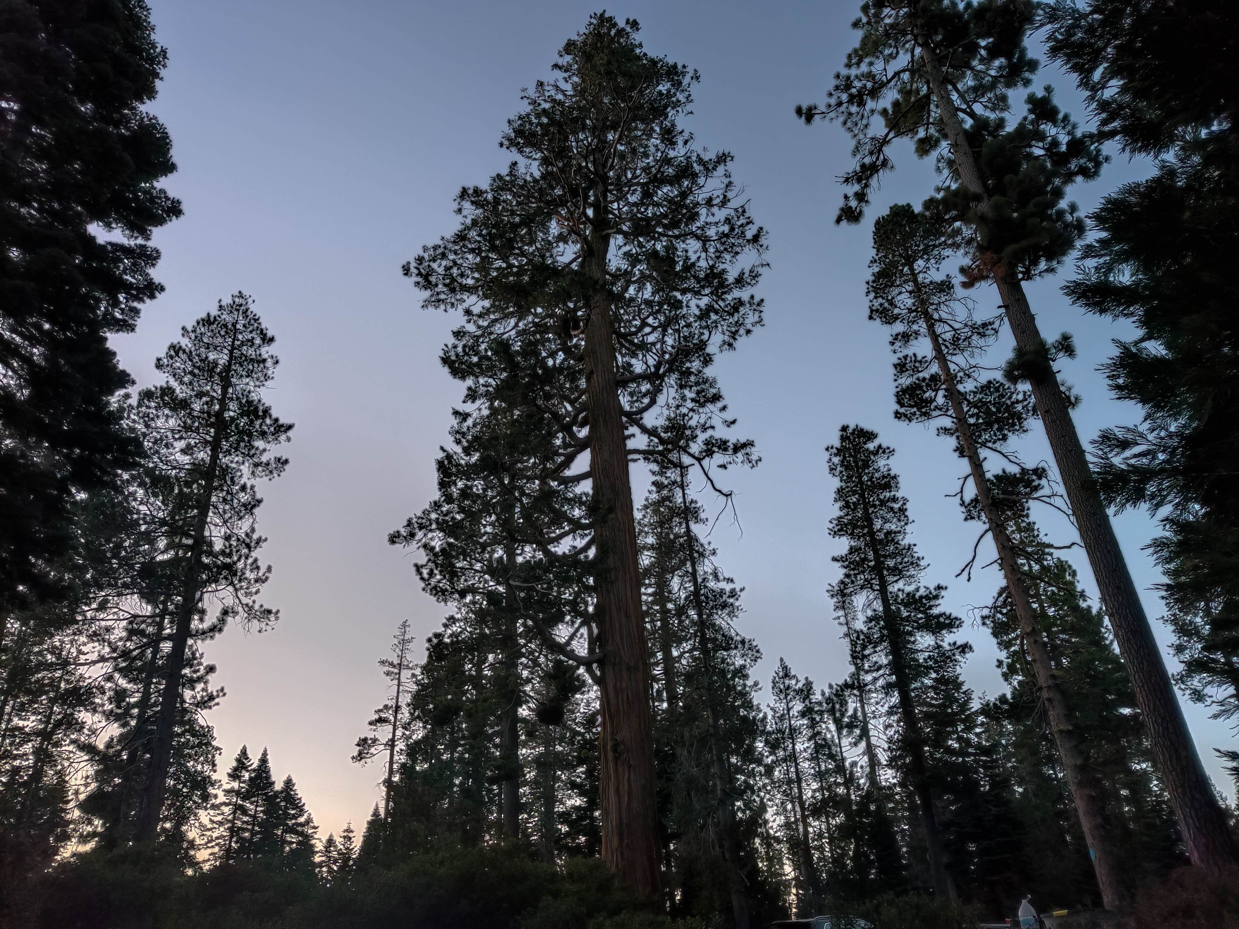 Camper-submitted photo at Loon Lake near Eldorado National Forest