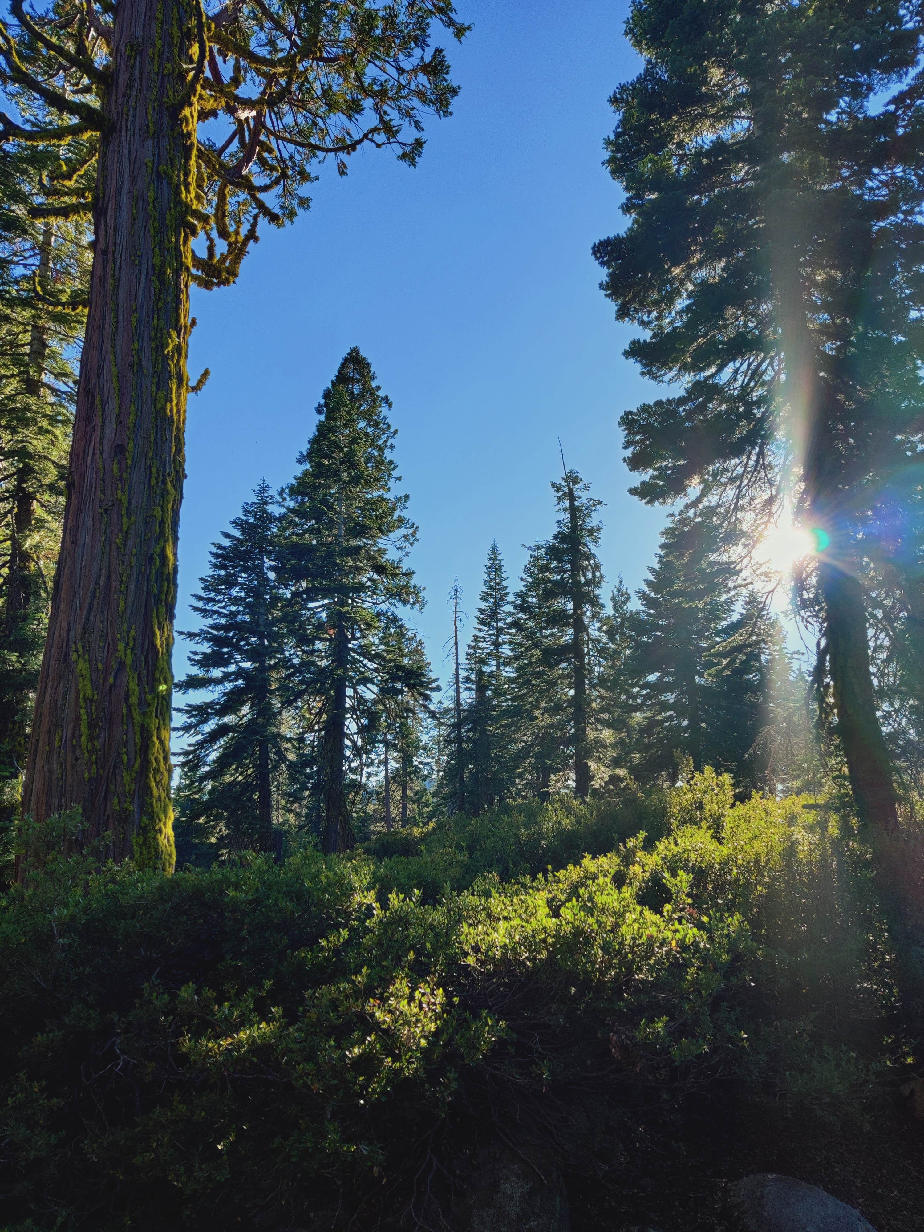 Camper-submitted photo at Loon Lake near Eldorado National Forest