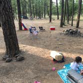 Review photo of Pumphouse Wash (FR 237) Dispersed Camping Area by Victor R., September 15, 2020