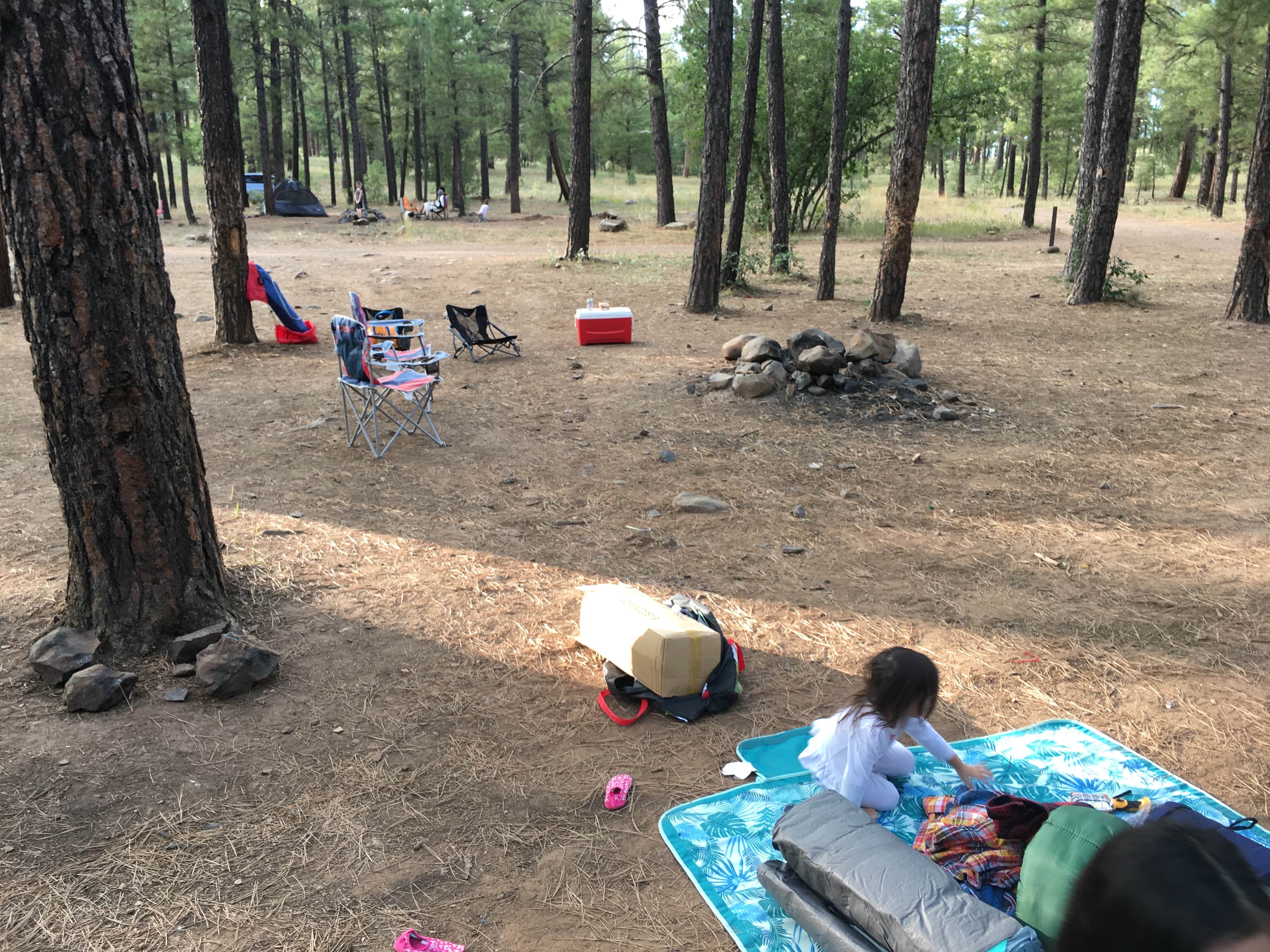 Camper submitted image from Pumphouse Wash (FR 237) Dispersed Camping Area - 4