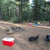 Review photo of Pumphouse Wash (FR 237) Dispersed Camping Area by Victor R., September 15, 2020