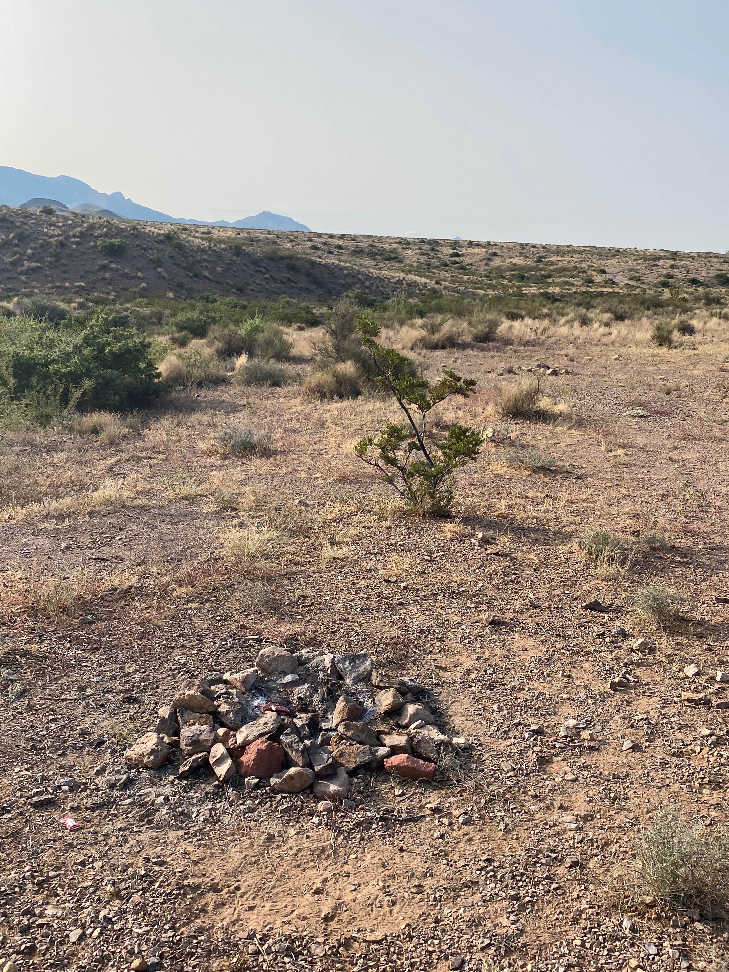 Camper-submitted photo at Sierra Vista near Hatch, NM