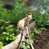 Review photo of Central Campground — Chickasaw National Recreation Area by Susie M., May 17, 2018