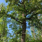 Review photo of Lake Metigoshe State Park Campground by Jennie S., September 15, 2020