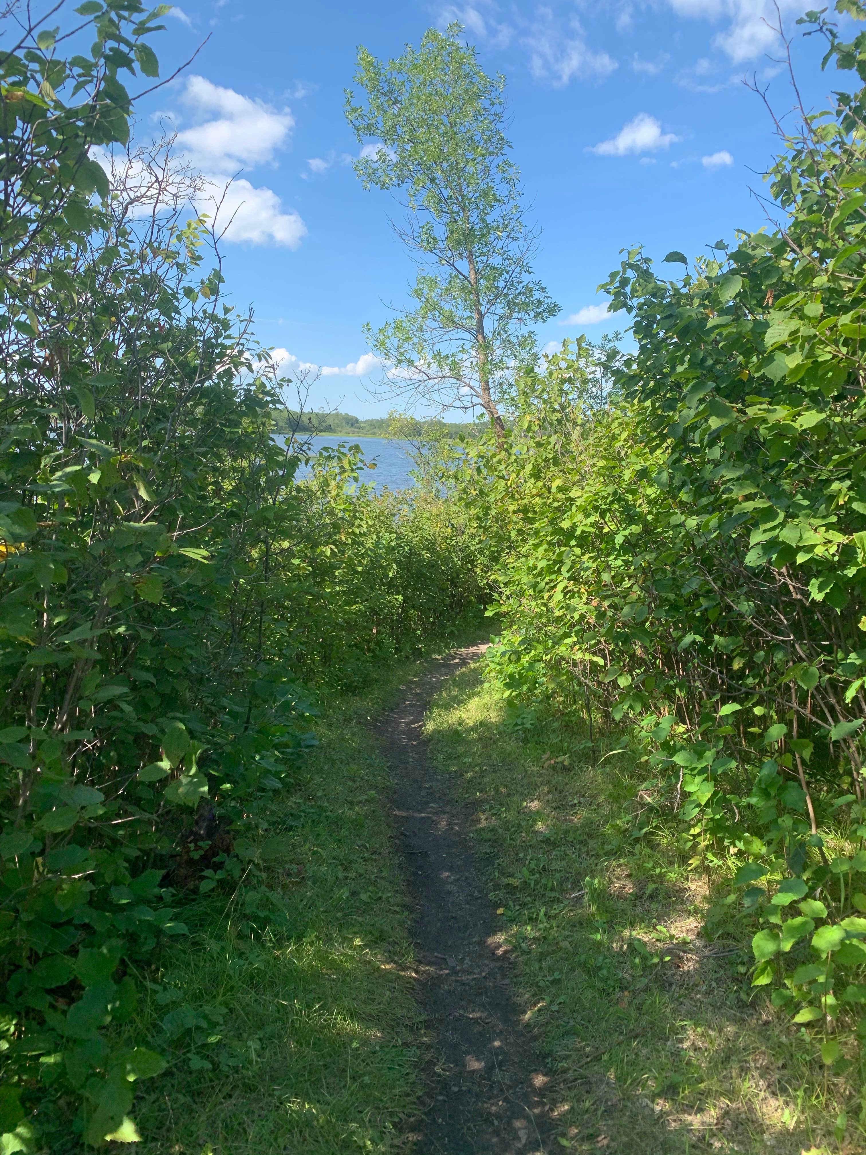 Camper-submitted photo at Lake Metigoshe State Park Campground in North Dakota