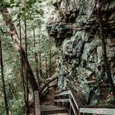 Review photo of West Rim - Cloudland Canyon State Park by Lorena M., September 15, 2020