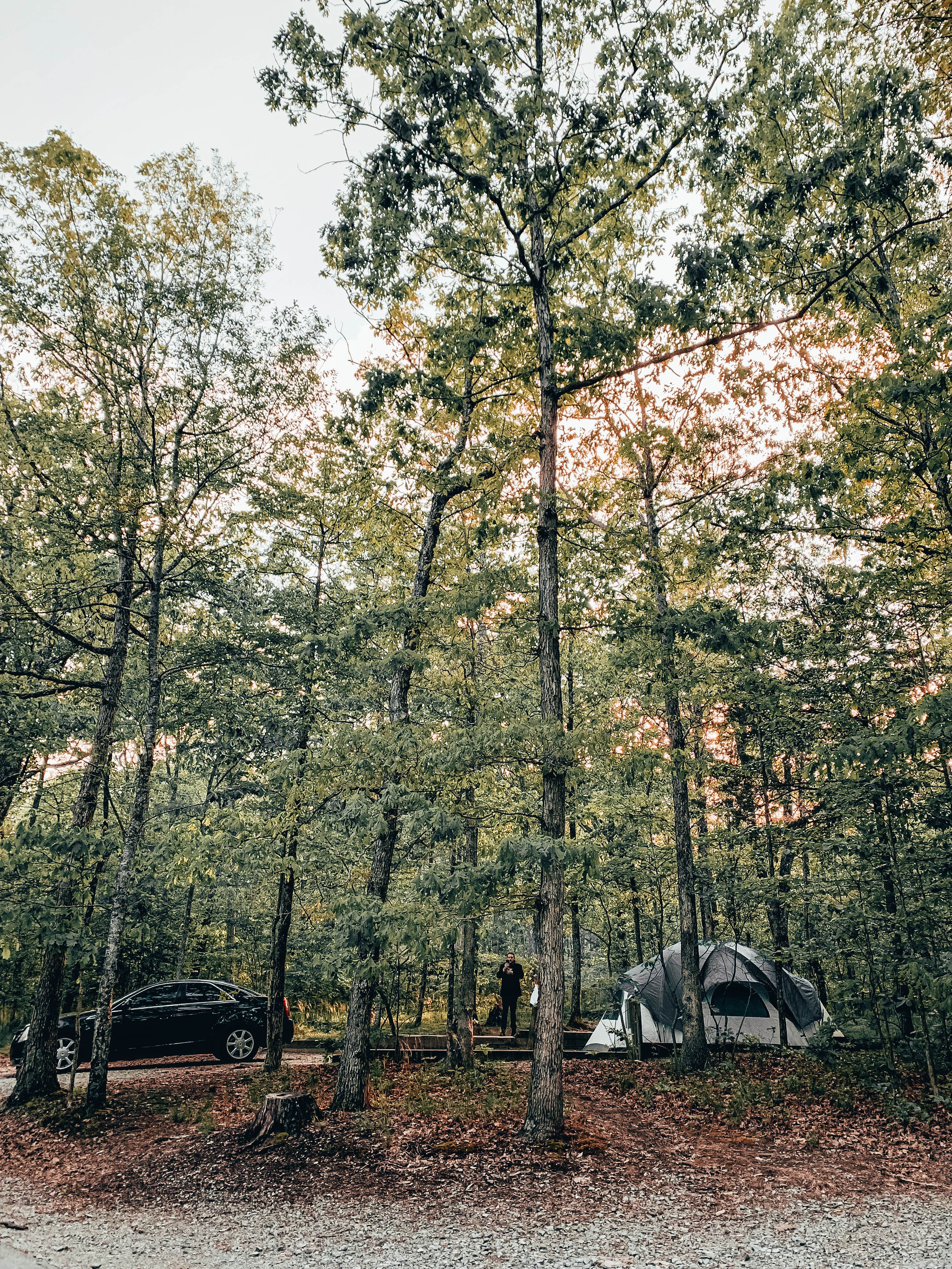 Lorena M.'s photo at Cloudland Canyon State Park Campground near Bridgeport, AL