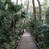 Review photo of Wekiwa Springs State Park Campground by Connie B., May 17, 2018