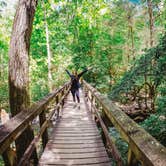 Review photo of West Rim - Cloudland Canyon State Park by Lorena M., September 15, 2020