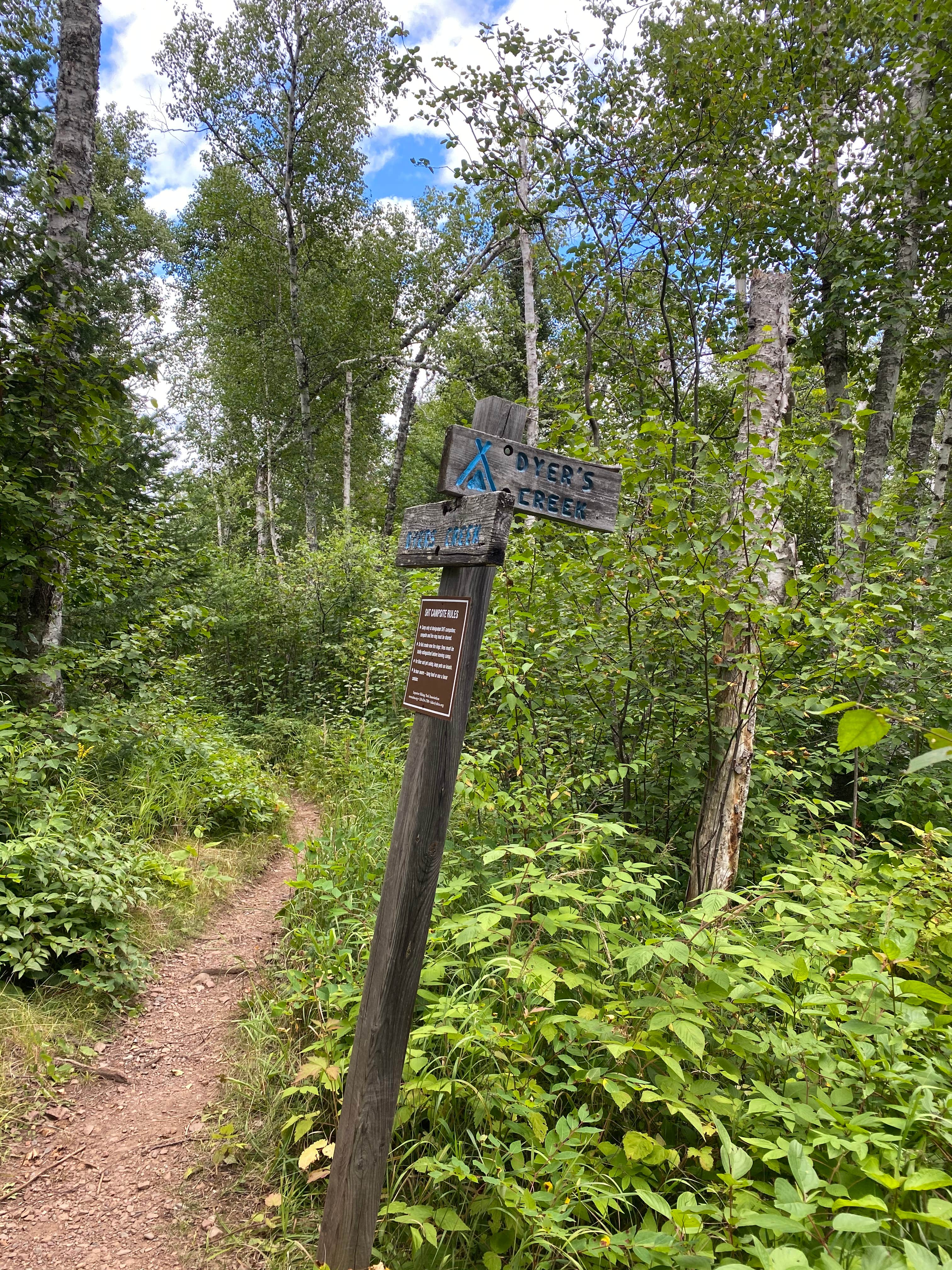Camper-submitted photo at Dyers Creek Campsite, Superior Hiking Trail near Illgen City, MN