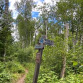 Review photo of Dyers Creek Campsite, Superior Hiking Trail by Steph H., September 15, 2020