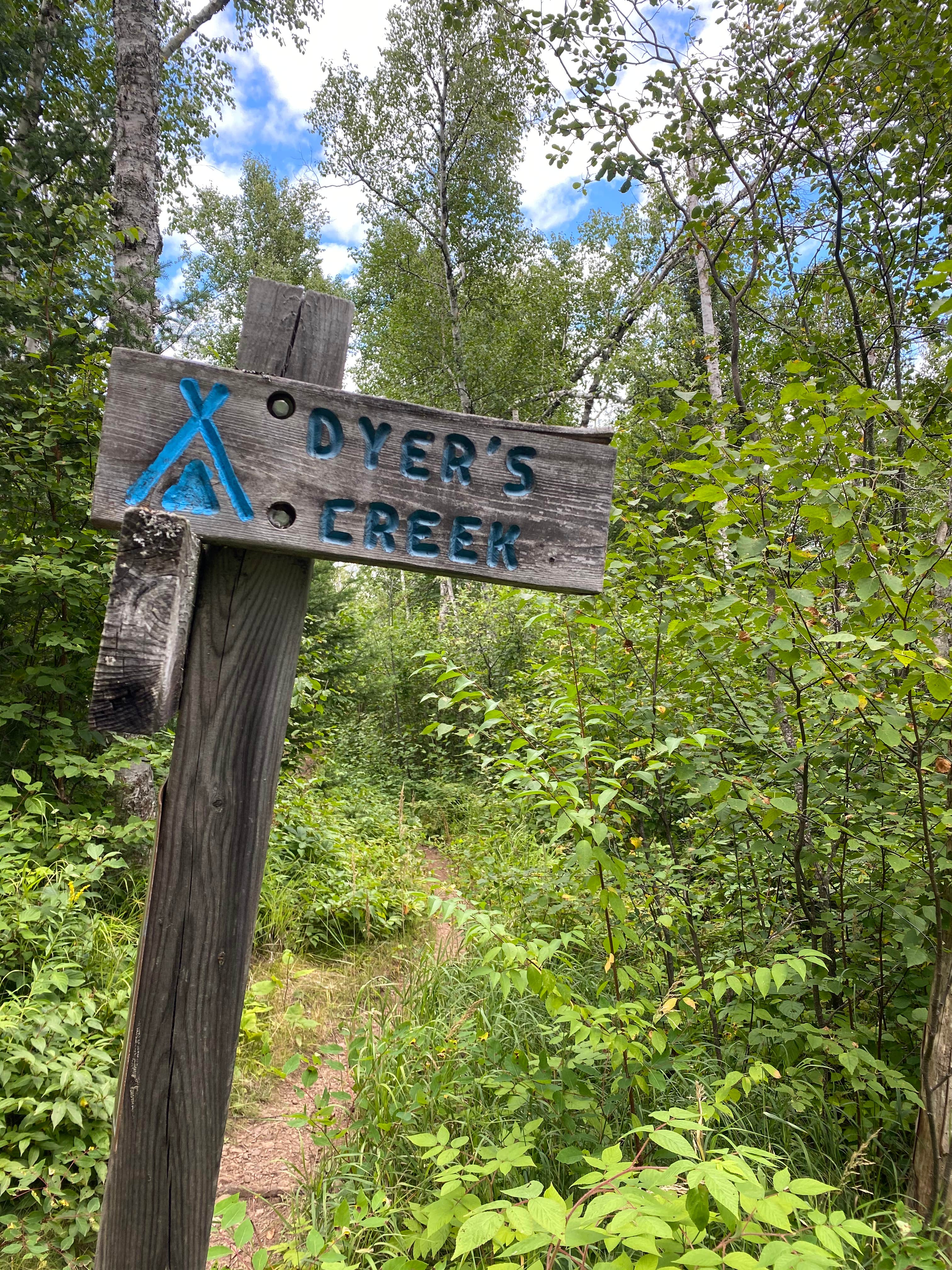 Camper-submitted photo at Dyers Creek Campsite, Superior Hiking Trail near Tofte, MN