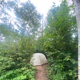 Review photo of Dyers Creek Campsite, Superior Hiking Trail by Steph H., September 15, 2020