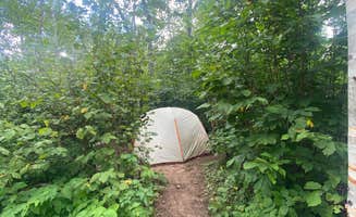 Steph H.'s photo of tent camping at Dyers Creek Campsite, Superior Hiking Trail in Minnesota