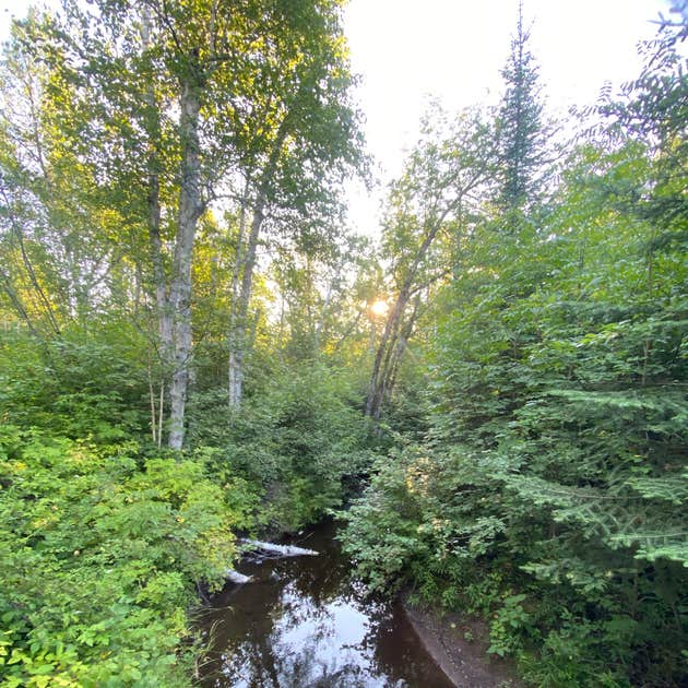 Dyers Creek Campsite, Superior Hiking Trail Camping The Dyrt