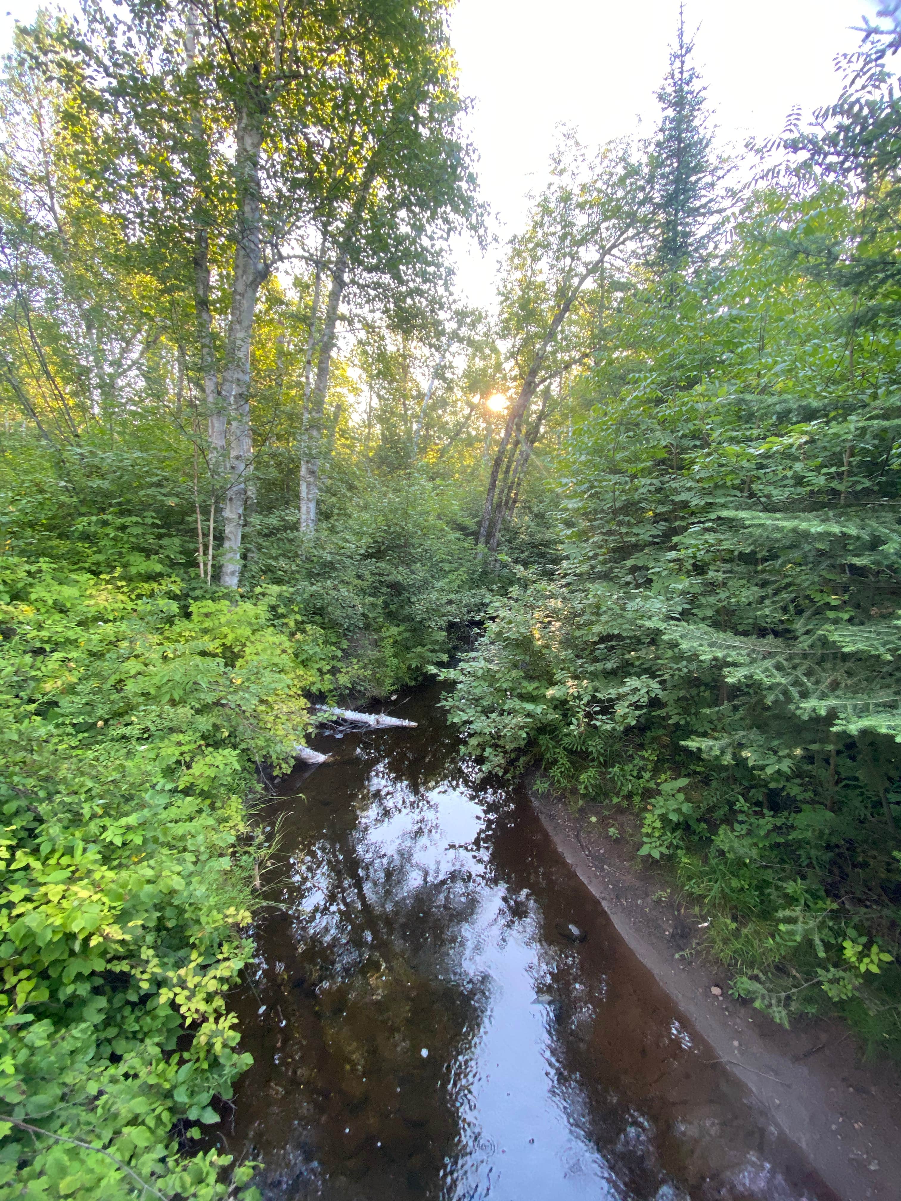 Camper submitted image from Dyers Creek Campsite, Superior Hiking Trail - 4