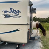 Review photo of Assateague State Park Campground by Stephen D., September 15, 2020
