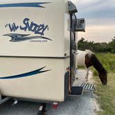 Review photo of Assateague State Park by Stephen D., September 15, 2020