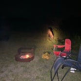 Review photo of Assateague State Park Campground by Stephen D., September 15, 2020