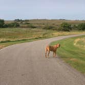 Review photo of Clausen Springs Park Campground by Lauren , September 15, 2020