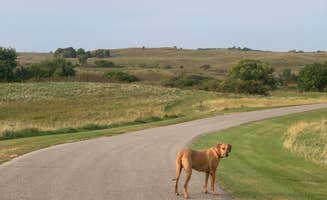 Lauren's photo of camping with pets at Clausen Springs Park Campground near Valley City, ND