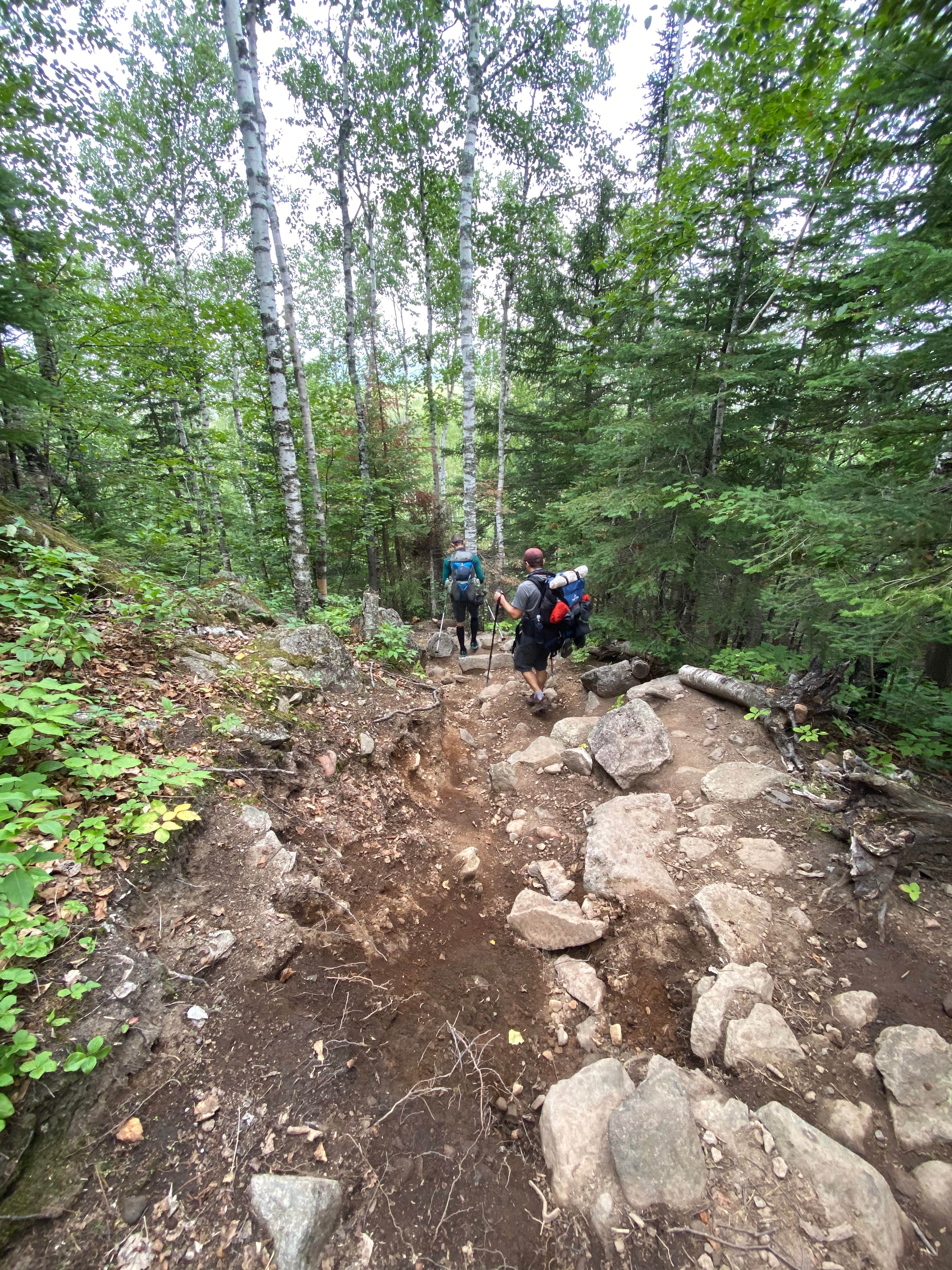 Camper submitted image from East Rollins Creek, Superior Hiking Trail - 4