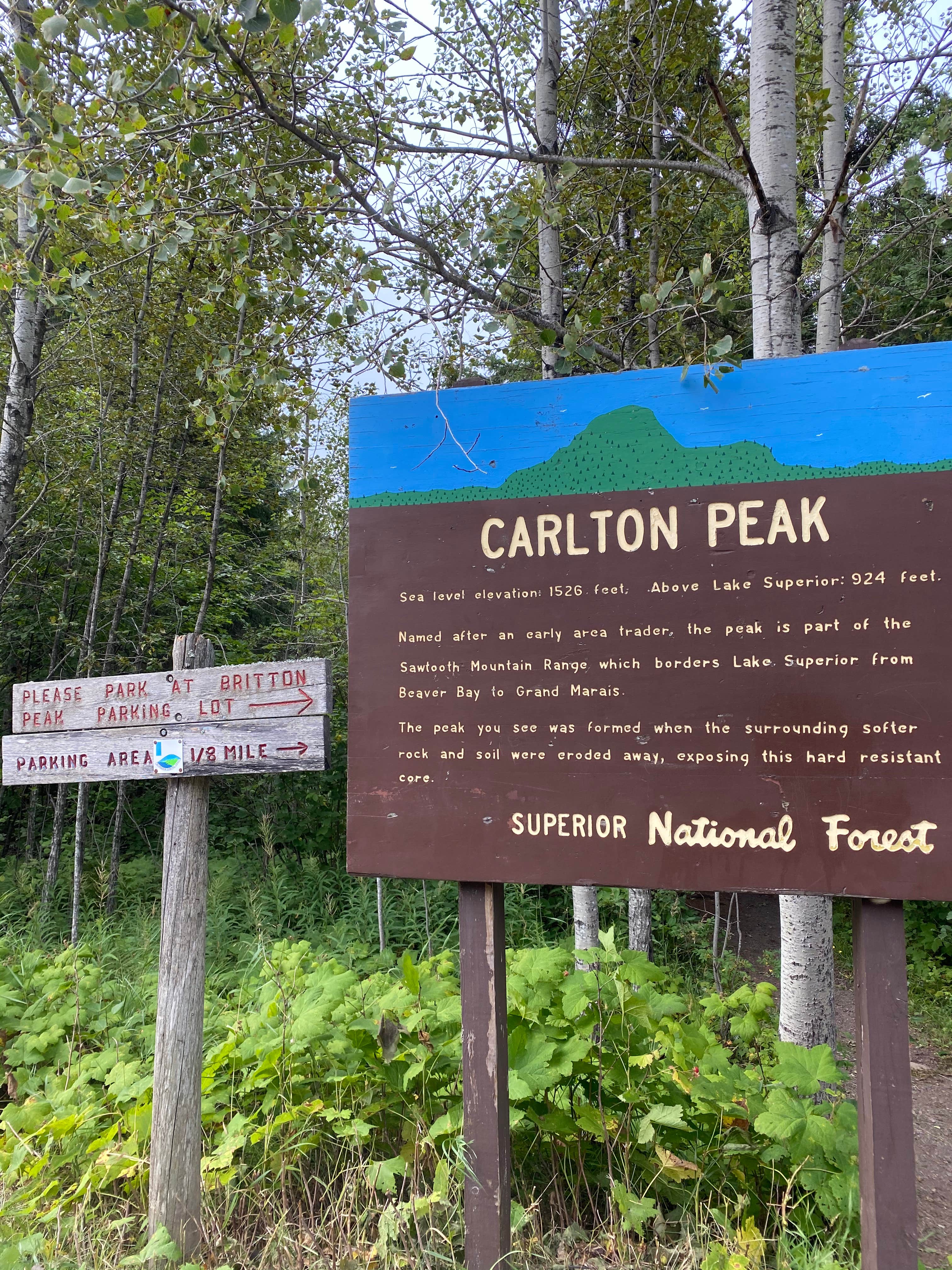 Camper submitted image from East Rollins Creek, Superior Hiking Trail - 5