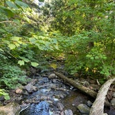 Review photo of East Rollins Creek, Superior Hiking Trail  by Steph H., September 15, 2020