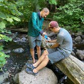 Review photo of East Rollins Creek, Superior Hiking Trail by Steph H., September 15, 2020